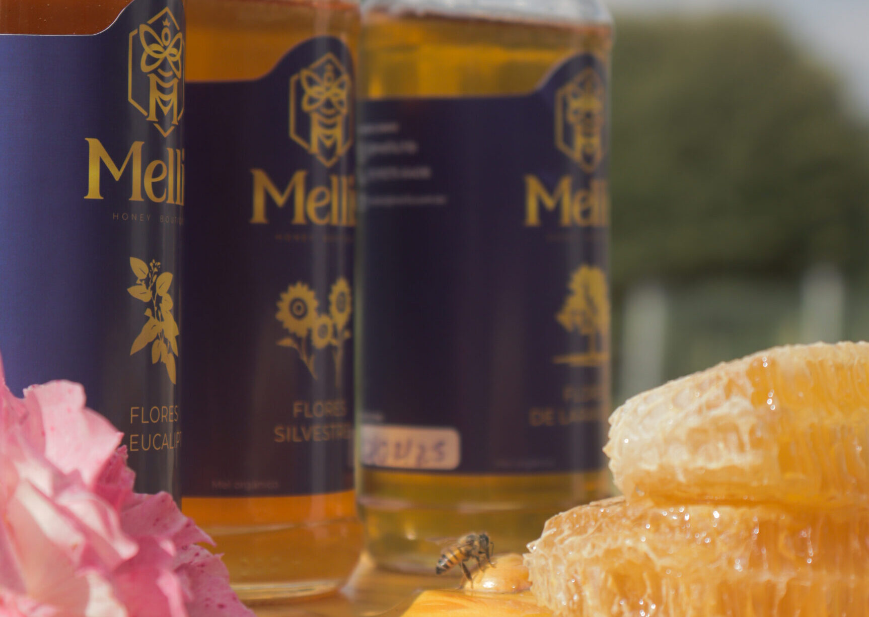 abelha favo e potes editado